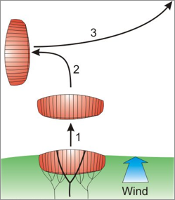 how to reverse re-launch a trainer kite