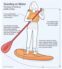 [PADDLE]