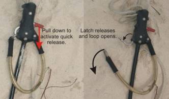 Airush Chicken Loop