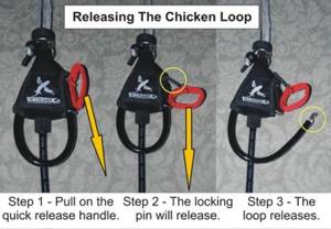 Best Chicken Loop